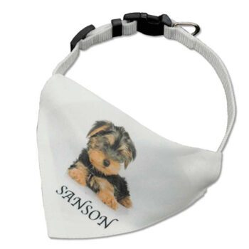 Bandana para perrro personalizable con collar incluido