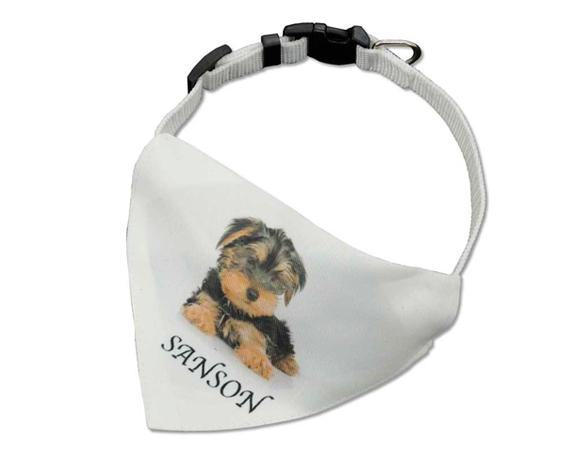 Bandana para perrro personalizable con collar incluido
