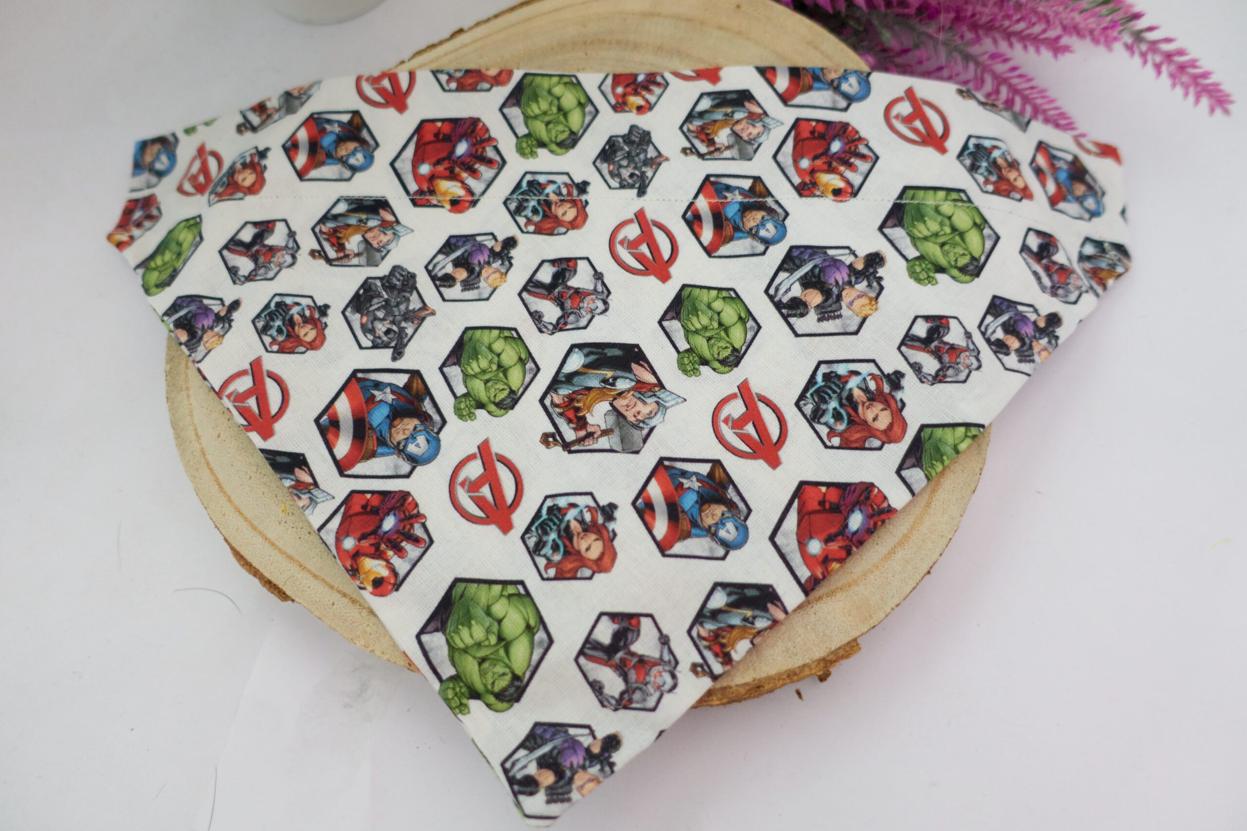 Bandanas para perros EDICIÓN LIMITADA - Imagen 6