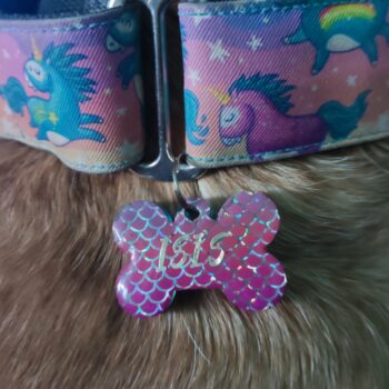 Chapa identificativa de resina para mascotas: DISEÑOS SIRENA