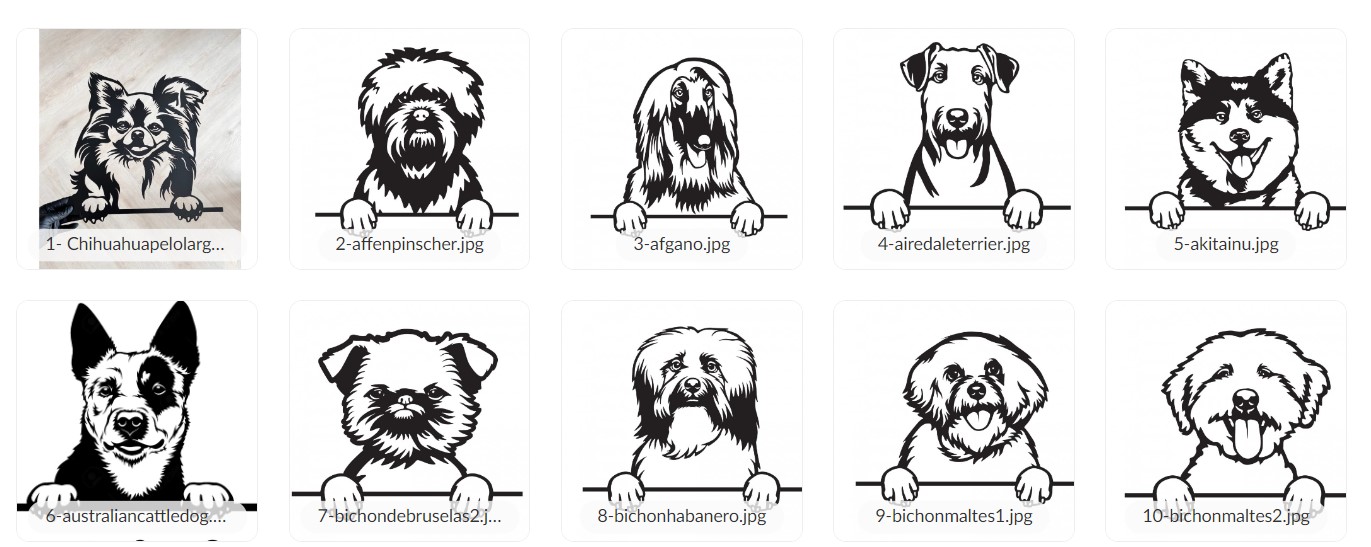 Cartel madera raza + nombre - Imagen 2