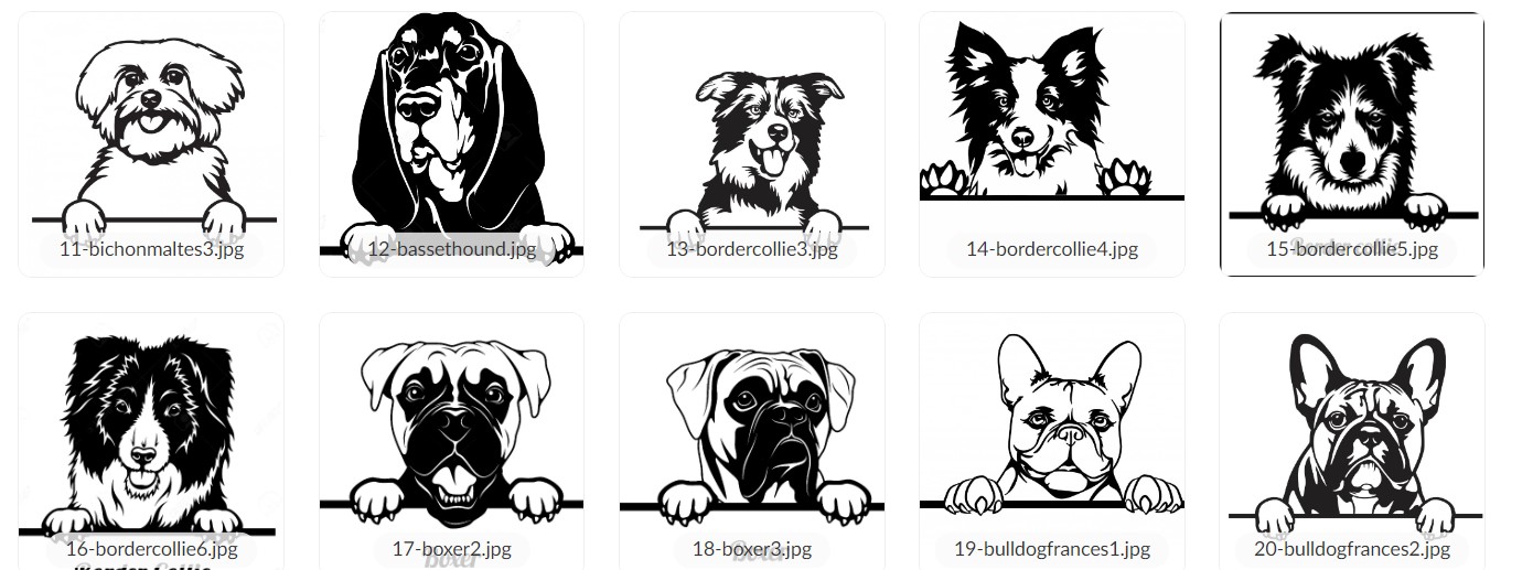 Cartel madera raza + nombre - Imagen 3