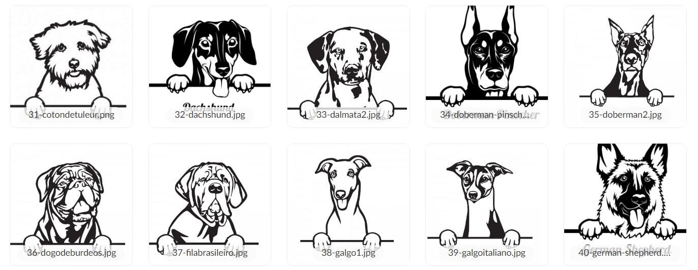 Cartel madera raza + nombre - Imagen 5