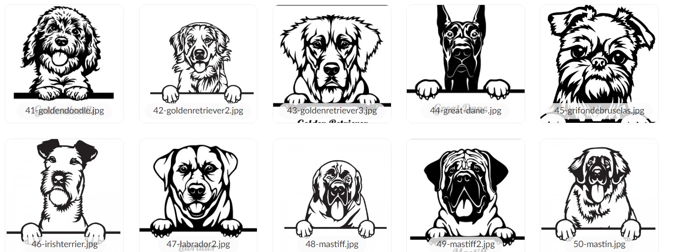 Cartel madera raza + nombre - Imagen 6