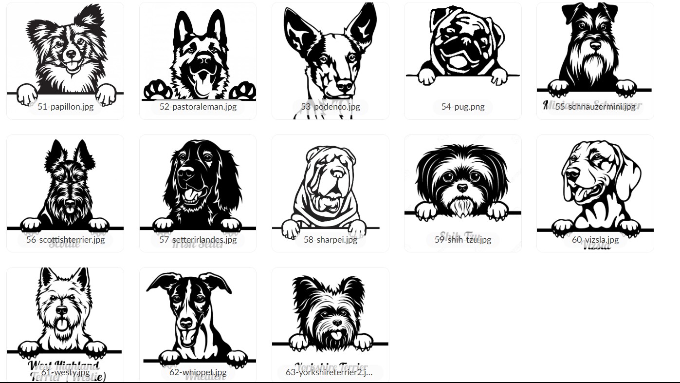 Cartel madera raza + nombre - Imagen 7