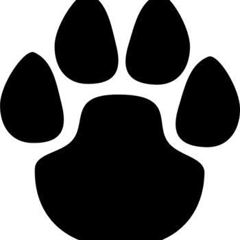 Vinilo para coche "Huella perro"