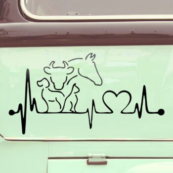 Vinilo para coche "Amor animal"