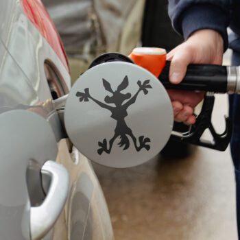 Vinilo para coche "Coyote"