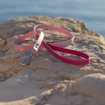 Correas para perro de Biothane