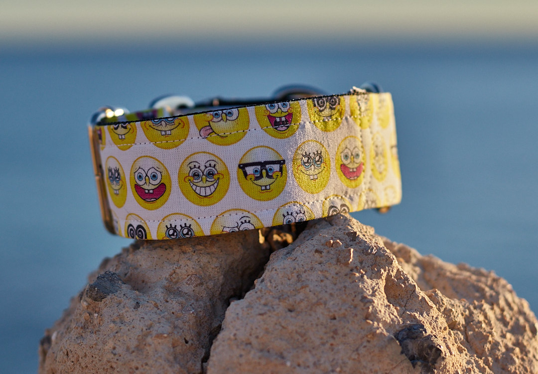 Collar martingale diseño Emoticonos de Bob Esponja - Imagen 2