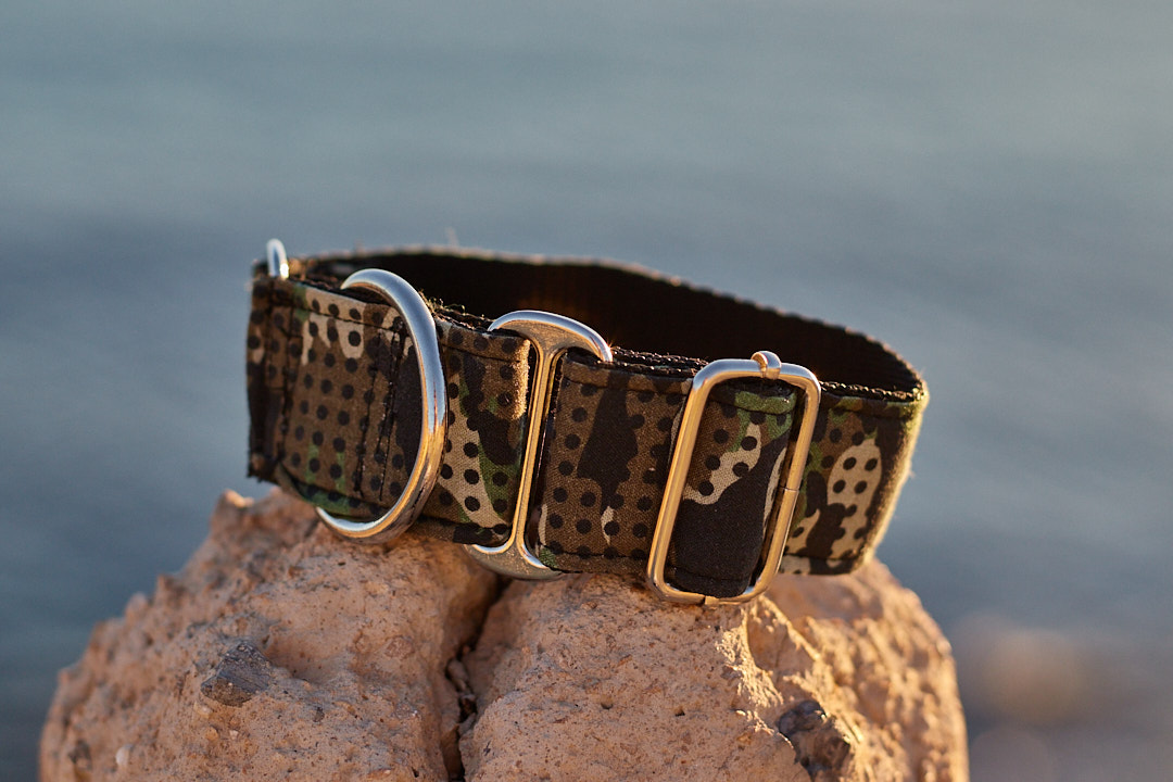 Collar martingale diseño Camuflaje