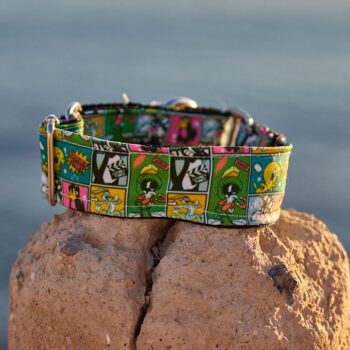 Collar martingale diseño Looney Tunes
