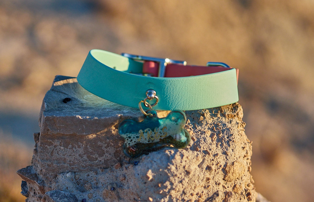 Collar de Biothane 2 colores para perros - Imagen 3