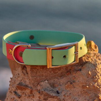 Collar de Biothane 2 colores para perros