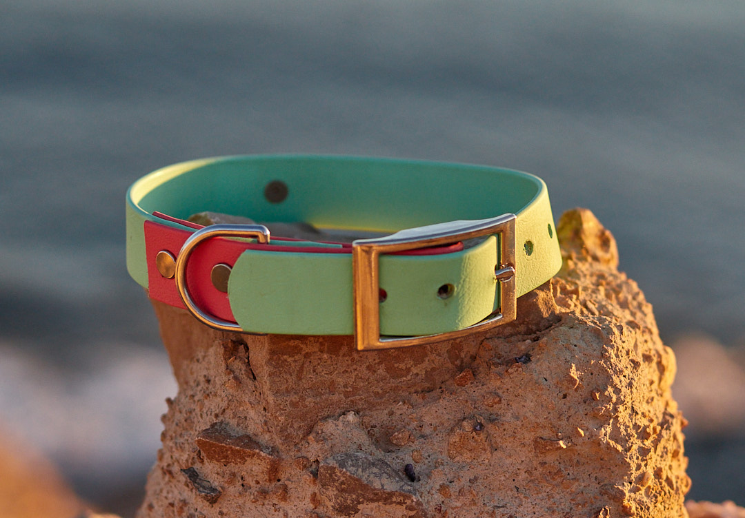 Collar de Biothane 2 colores para perros
