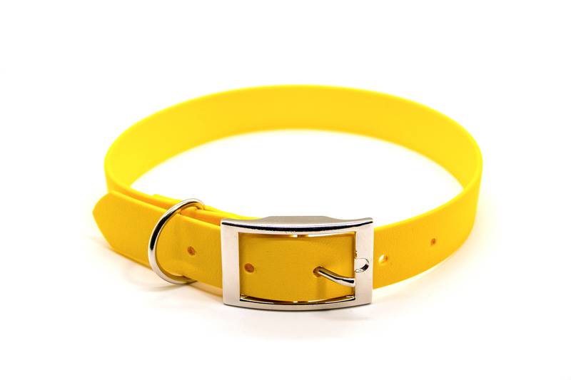 Collar de Biothane básico (1 color) para perros