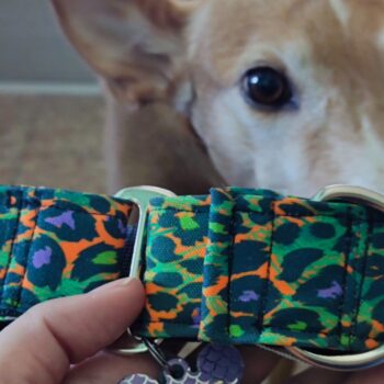 Collar martingale diseño Leopardo colores